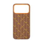 airity case
